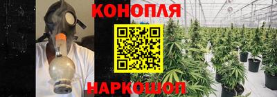 индика Ликино-Дулёво