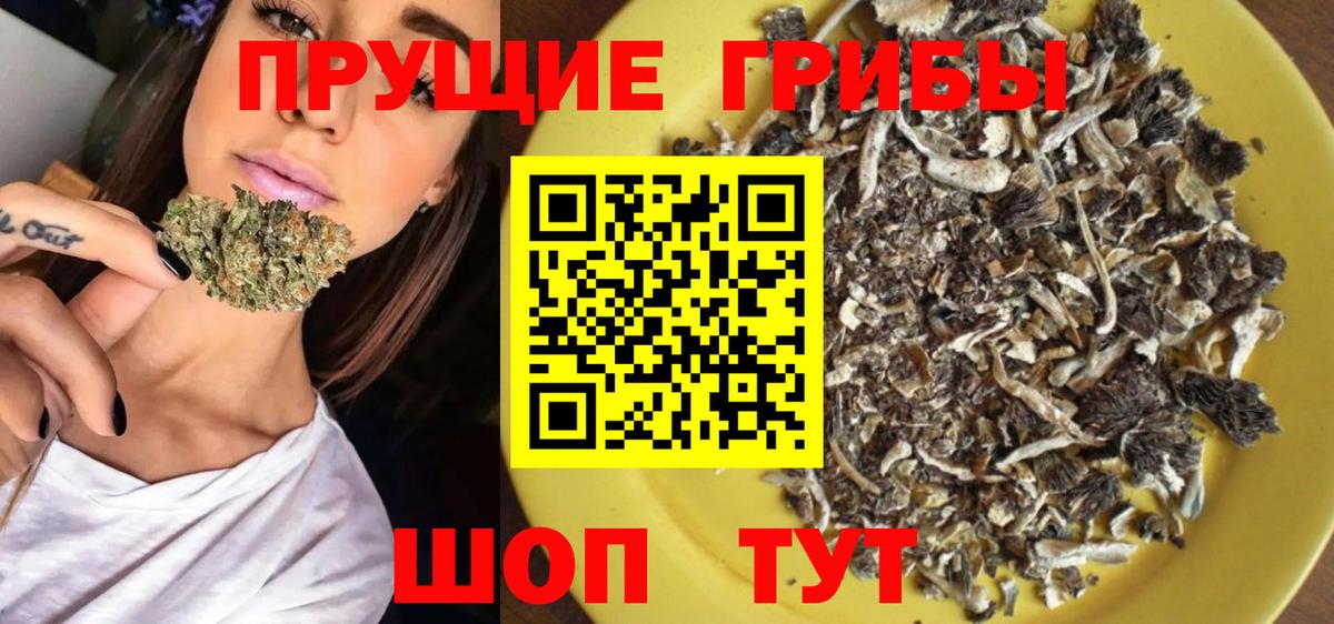 Камышин  Псилоцибиновые грибы мицелий  Вход с VPN 