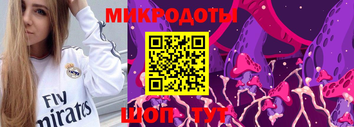 где купить наркоту  Камышин  Псилоцибиновые грибы Psilocybe 