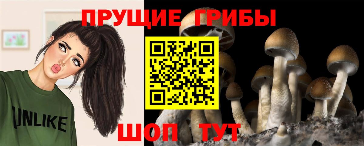 Галлюциногенные грибы Magic Shrooms Камышин